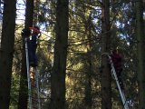 Maibaum_2016 (31).JPG